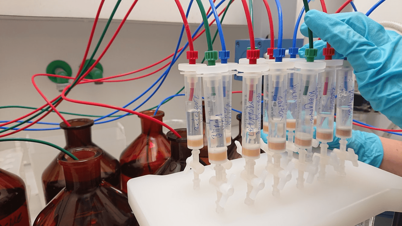 Solid-phase extraction columns processing environmental samples in an independent analytical laboratory.