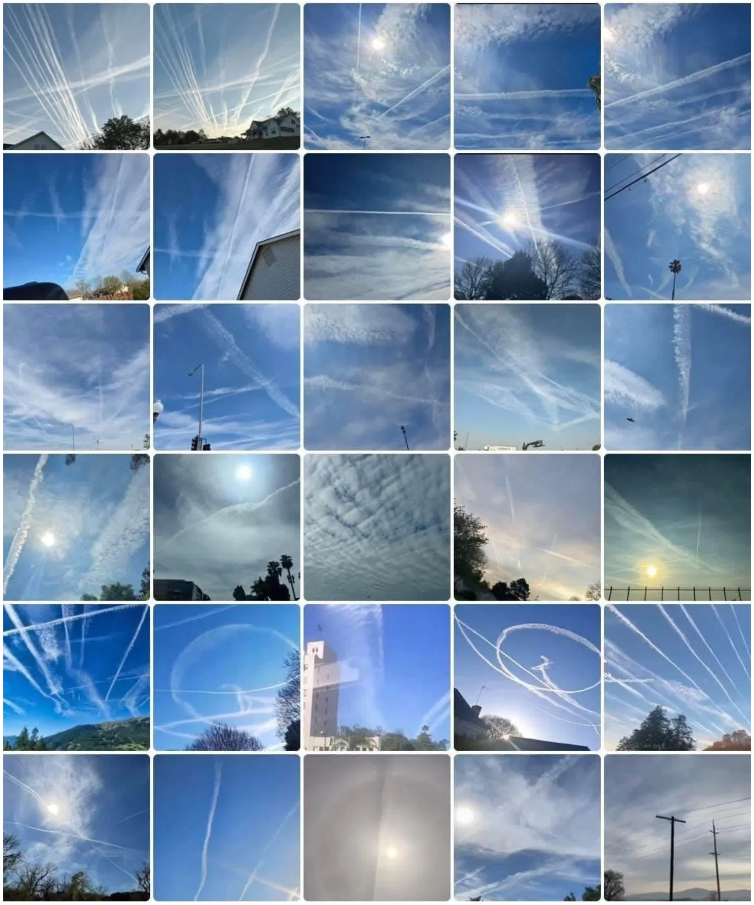 Composite of thirty community-submitted photographs showing persistent aerial grid patterns, radial trails, and daytime halos across Pacific Northwest skies.
